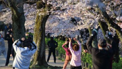 「誰一人取り残されない」デジタル社会へ。行政手続きのDX推進と、私たちが受けるべき支援とは？