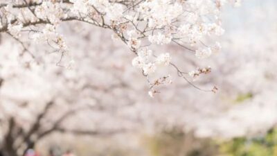 争続を未然に防ぐ、魔法の一行「付言事項（ふげんじこう）」の書き方｜遺言書に想いを託すコツ