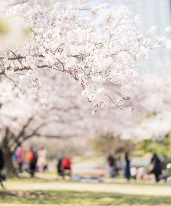 争続を未然に防ぐ、魔法の一行「付言事項（ふげんじこう）」の書き方｜遺言書に想いを託すコツ